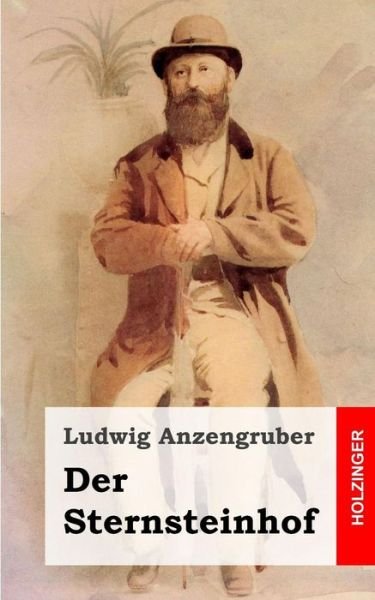 Cover for Ludwig Anzengruber · Der Sternsteinhof (Paperback Book) (2013)