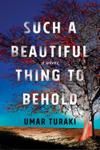 Cover for Umar Turaki · Such a Beautiful Thing to Behold: A Novel (Hardcover Book) (2022)