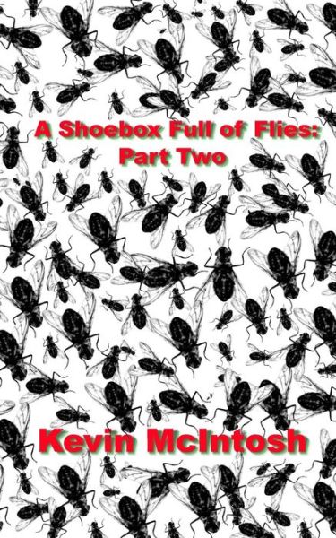 Cover for Kevin D McIntosh · A Shoebox Full Of Flies (Paperback Book) (2017)