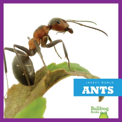 Ants - Mari C Schuh - Books - Bullfrog Books - 9781620314661 - August 1, 2013