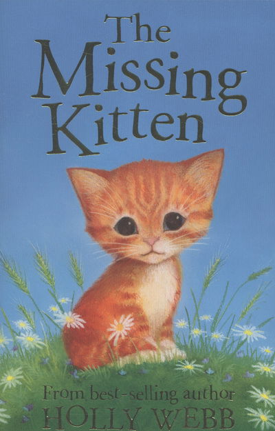 Cover for Holly Webb · The Missing Kitten - Holly Webb: Animal Stories (Paperback Book) (2013)