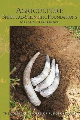 Agriculture, Spiritual-Scientific Foundations: for Agricultural Renewal - The Collected Works of Rudolf Steiner - Rudolf Steiner - Books - Rudolf Steiner Press - 9781855846661 - October 21, 2024