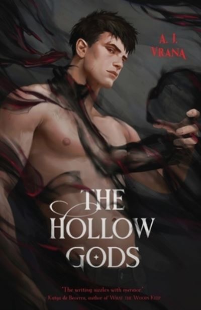 Cover for A J Vrana · The Hollow Gods (Paperback Book) (2023)