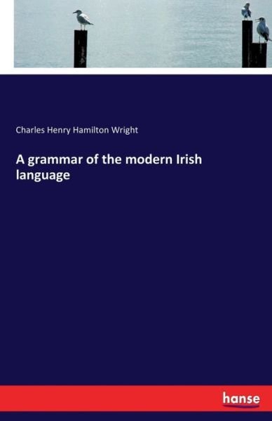 A grammar of the modern Irish la - Wright - Livres -  - 9783744737661 - 18 mars 2022
