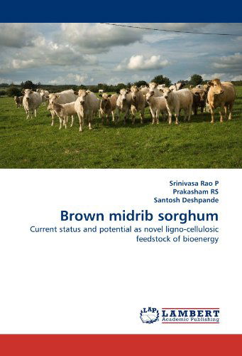 Cover for Santosh Deshpande · Brown Midrib Sorghum: Current Status and Potential As Novel Ligno-cellulosic Feedstock of Bioenergy (Paperback Book) (2010)