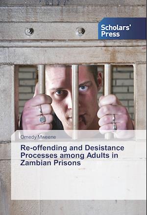 Cover for Mweene · Re-offending and Desistance Proc (Bok)