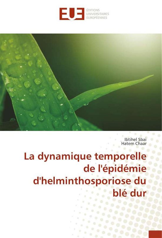 Cover for Sbai · La dynamique temporelle de l'épidé (Bog)