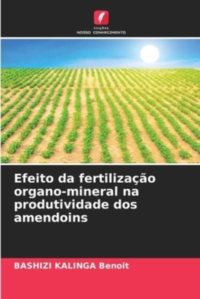 Cover for Bashizi Kalinga Benoit · Efeito da fertilizacao organo-mineral na produtividade dos amendoins (Paperback Book) (2021)