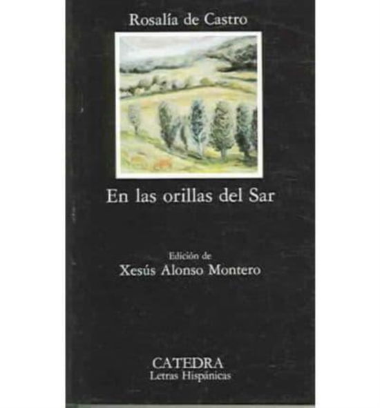 En Las Orillas Del Sar (En Las Orillas Del Sar) - Letras Hispanicas - Castro - Książki - Ediciones Catedra, S.A. - 9788437605661 - 1985