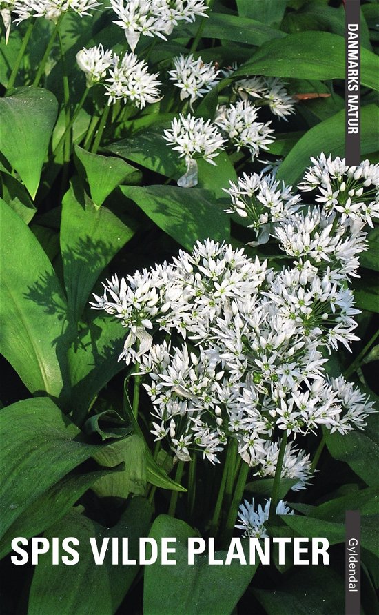 Cover for Dorte Rhode Nissen; Edith Agerbo · Danmarks Natur: Danmarks natur - Spis vilde planter (Heftet bok) [2. utgave] (2015)