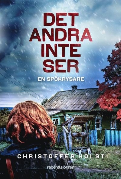 Cover for Christoffer Holst · Det andra inte ser (Gebundesens Buch) (2019)