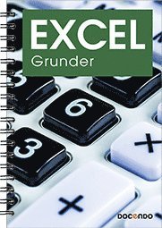 Cover for Eva Ansell · Excel Grunder (Spiralbuch) (2024)