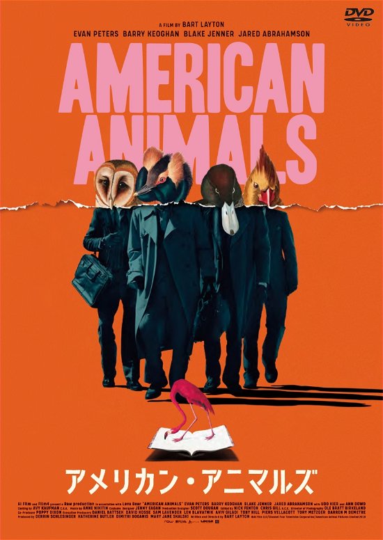 Cover for Evan Peters · American Animals (MDVD) [Japan Import edition] (2019)