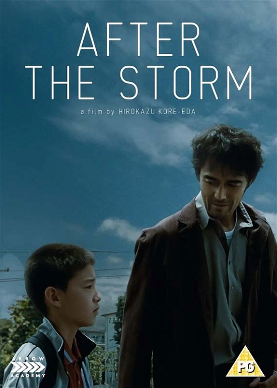 Cover for After the Storm DVD · After The Storm (DVD) (2018)