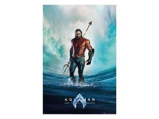 Cover for Aquaman And The Lost Kingdom · AQUAMAN AND THE LOST KINGDOM - Tempest - Poster 61 (Leketøy)