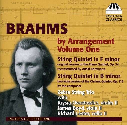 Cover for Johannes Brahms · Brahms by Arrangement V.1 (CD) (2013)