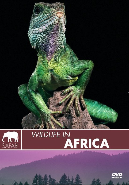 Cover for Wildlife in Africa (DVD) (2004)