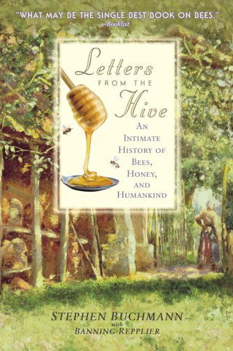 Cover for Stephen Buchmann · Letters from the Hive: An Intimate History of Bees, Honey, and Humankind (Paperback Book) [Reprint edition] (2006)