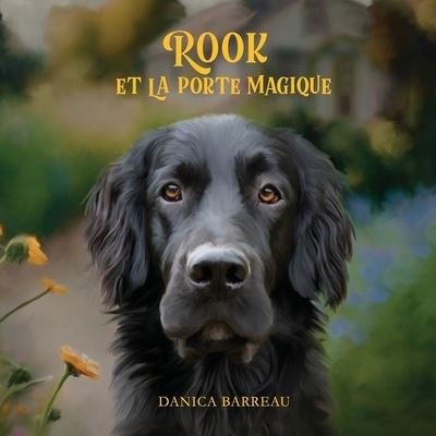 Cover for Danica Barreau · Rook et la Porte Magique (Bog) [French edition] (2023)