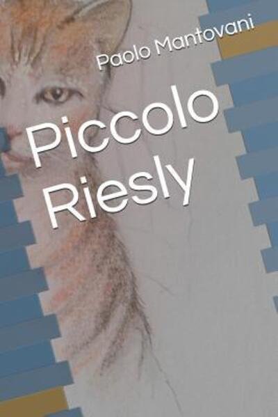 Piccolo Riesly - Thais Menegotto - Boeken - Independently Published - 9781077935662 - 3 juli 2019