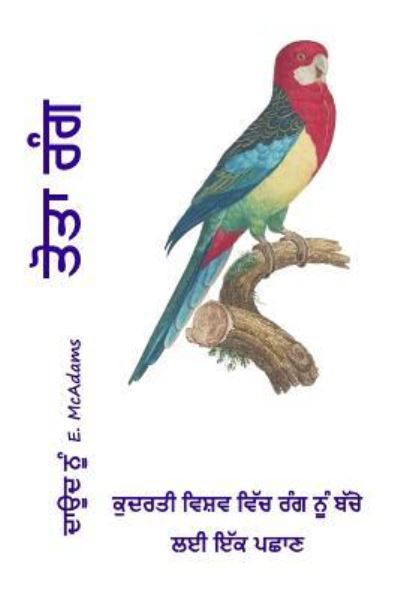 Cover for David E McAdams · Parrot Colors (in Punjabi) (Paperback Book) (2015)