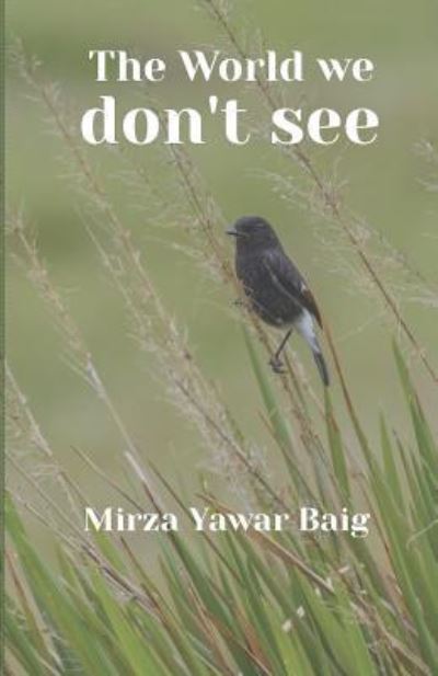 Cover for Mirza Yawar Baig · The World We Dont See (Paperback Book) (2019)