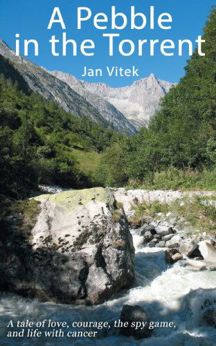 Cover for Jan Vitek · A Pebble in the Torrent (Paperback Book) (2013)