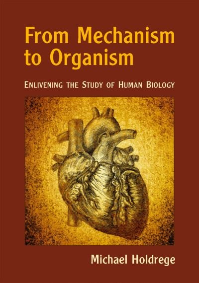 Cover for Michael Holdrege · From Mechanism to Organism: Enlivening the Study of Human Biology (Pocketbok) (2023)