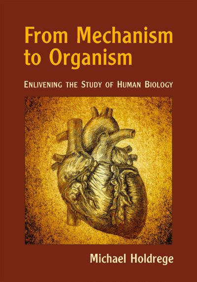 Cover for Michael Holdrege · From Mechanism to Organism: Enlivening the Study of Human Biology (Paperback Book) (2023)