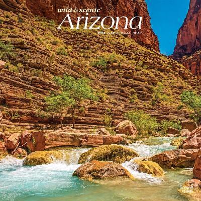 Cover for Browntrout · Arizona Wild &amp; Scenic 2024 Square (Calendar) (2023)