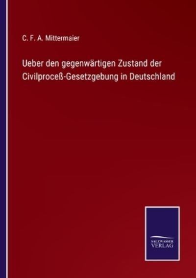 Cover for C F a Mittermaier · Ueber den gegenwartigen Zustand der Civilprocess-Gesetzgebung in Deutschland (Paperback Book) (2021)