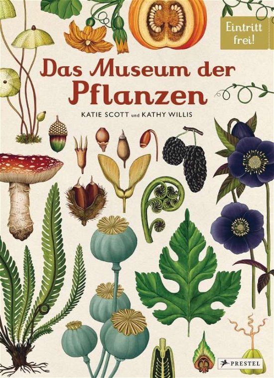 Cover for Willis · Das Museum der Pflanzen (Bog)