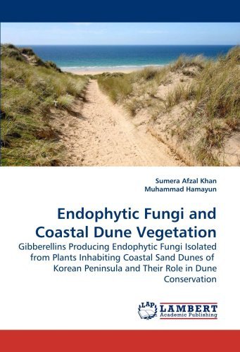 Cover for Sumera Afzal Khan · Endophytic Fungi and Coastal Dune Vegetation: Gibberellins Producing Endophytic Fungi Isolated from Plants Inhabiting Coastal Sand Dunes of  Korean Peninsula and Their Role in Dune Conservation (Taschenbuch) (2010)