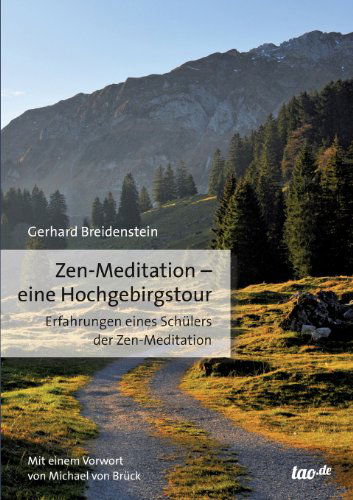 Cover for Gerhard Breidenstein · Zen-meditation - Eine Hochgebirgstour: Erfahrungen Eines Schülers Der Zen-meditation (Paperback Book) [German edition] (2013)