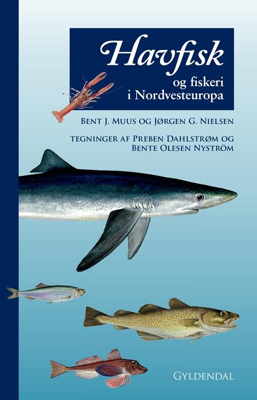 Cover for Bent Muus; Jørgen G. Nielsen · Havfisk og fiskeri (Heftet bok) [7. utgave] (2017)