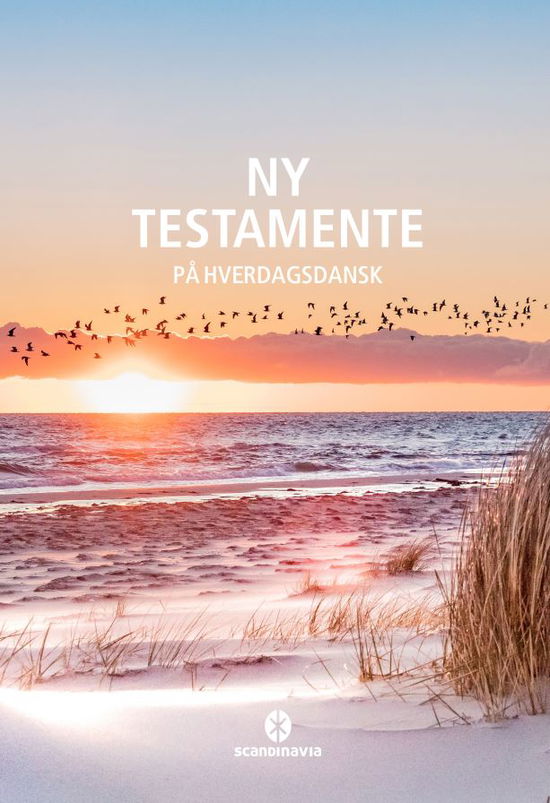 Ny Testamente - på hverdagsdansk, strand. -  - Bøger - Scandinavia - 9788772033662 - 22. januar 2024