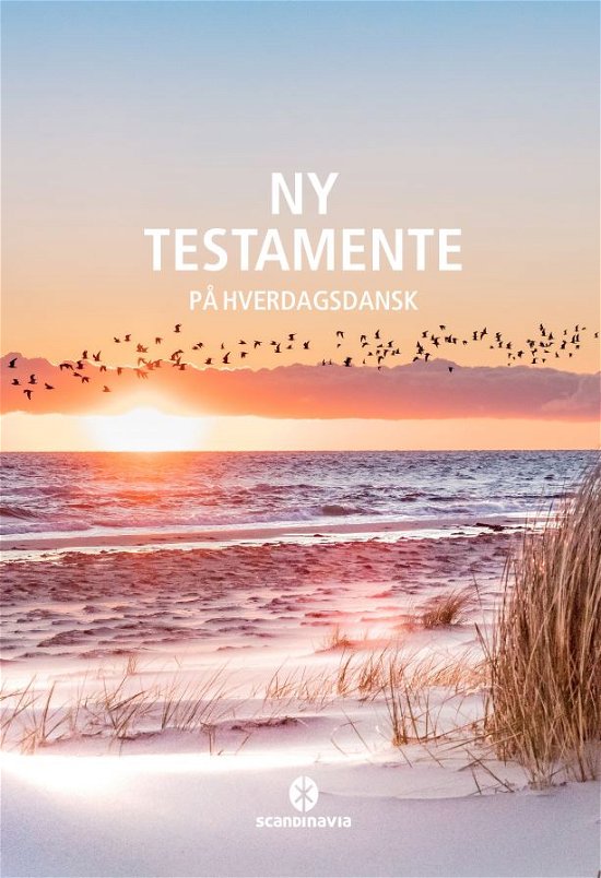 Cover for Ny Testamente - på hverdagsdansk, strand. (Pocketbok) [2:a utgåva] (2024)