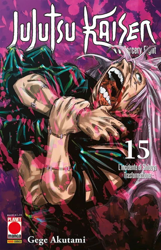 Cover for Akutami Gege · Jujutsu Kaisen. Sorcery Fight #15 (Book)