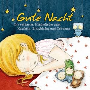 Gute Nacht-schönste Kinderlieder Zum Einschlafen - Meine Lieblingslieder (Kindermusik) - Muziek - KARUSSELL - 0600753378663 - 30 maart 2012