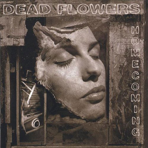 Cover for Dead Flowers · Homecoming (CD) (2005)