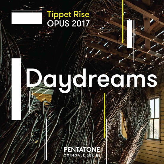 Tippet Rise Opus 2017 Daydreams - Matt Haimovitz / Jeffrey Kahane / Caroline Goulding / David Fung - Musik - PENTATONE - 0827949073663 - 22. Juni 2018