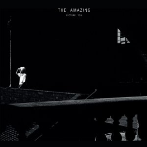 Cover for Amazing · Picture You (CD) (2015)