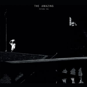 Picture You - Amazing - Música - PARTISAN - 5051083085663 - 16 de fevereiro de 2015