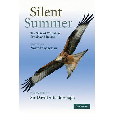 Cover for Norman Maclean · Silent Summer: The State of Wildlife in Britain and Ireland (Innbunden bok) (2010)
