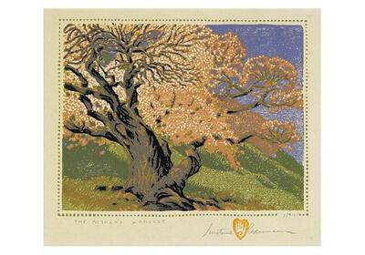 Cover for Gustave Baumann · Gustave Baumann the Bishop s Apricot Small Boxed Cards (N/A) (2016)