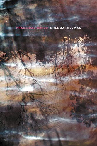 Cover for Brenda Hillman · Practical Water (Paperback Book) (2011)