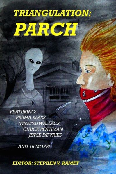 Cover for Stephen V. Ramey · Triangulation: Parch (Volume 7) (Paperback Book) (2014)