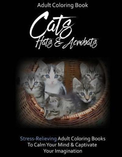 Adult Coloring Book: Cats, Hats & Acrobats - Roni Taylor - Książki - Createspace Independent Publishing Platf - 9781530879663 - 3 kwietnia 2016