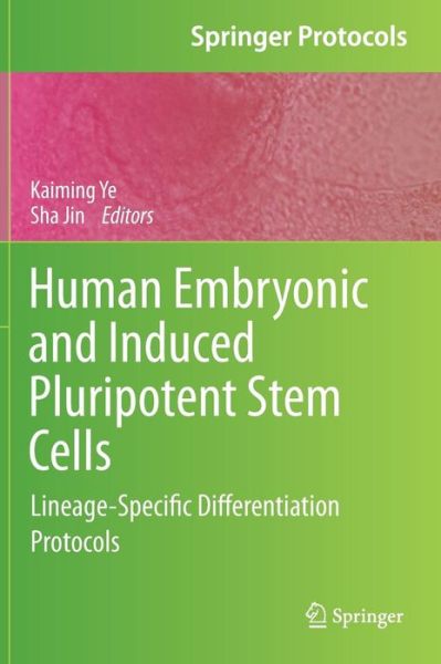 Cover for Kaiming Ye · Human Embryonic and Induced Pluripotent Stem Cells: Lineage-Specific Differentiation Protocols - Springer Protocols Handbooks (Hardcover Book) (2011)