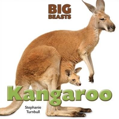 Cover for Stephanie Turnbull · Kangaroo (Big Beasts) (Hardcover bog) (2015)